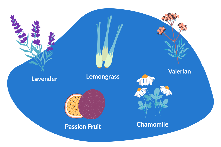 essential oils and herbs